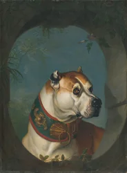 Portrait de chien